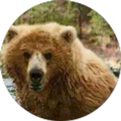 Profile photo of tyler ramsey