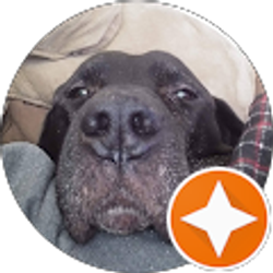 Profile photo of Brianna