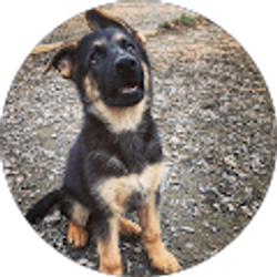 Profile photo of Earl Small