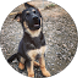 Profile photo of Earl Small
