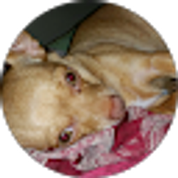 Profile photo of Kathy Gebauer