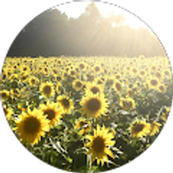 Profile photo of Quin D