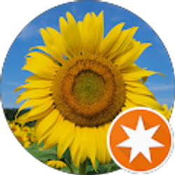 Profile photo of D Mayberry