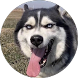 Profile photo of Thanh Lạc Lối