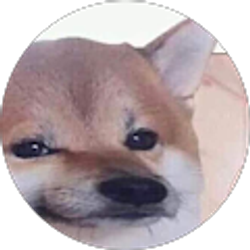 Profile photo of Daniel Perla