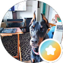 Profile photo of Peggy Hodge