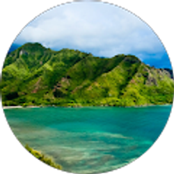 Profile photo of Steve H