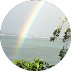 Profile photo of Robert Gore