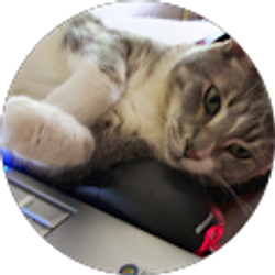 Profile photo of patricia schroeder