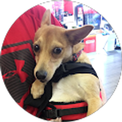 Profile photo of David Gentry