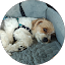 Profile photo of Jonah