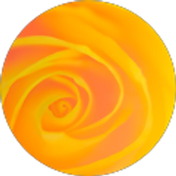 Profile photo of Alyssa Reimenschneider