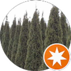 Profile photo of J A