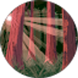 Profile photo of Oryn Jaede