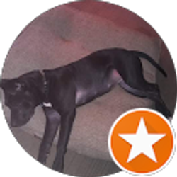 Profile photo of Leon McCourt