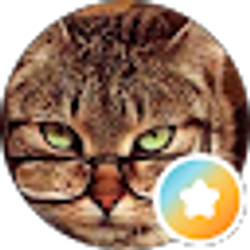 Profile photo of Linda Carr