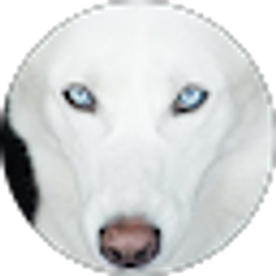 Profile photo of Stephen S.