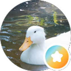 Profile photo of Sherrie Sierra