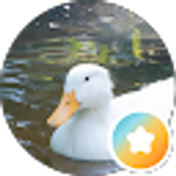 Profile photo of Sherrie Sierra