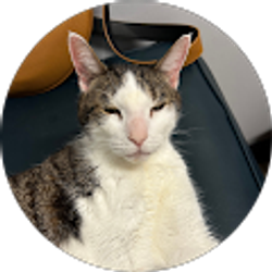 Profile photo of Melissa Hoglund