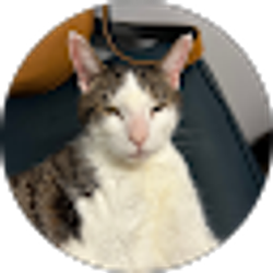 Profile photo of Melissa Hoglund