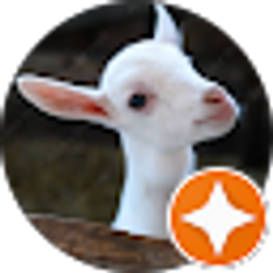 Profile photo of Silver Shoe