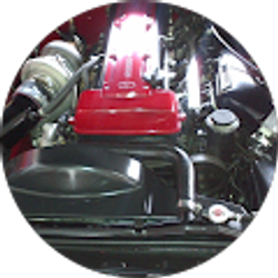 Profile photo of Stephen Lalmansingh