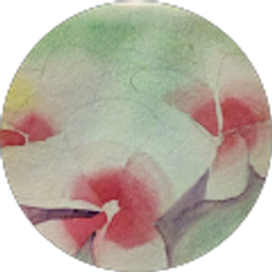 Profile photo of Georgina Ryan