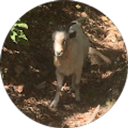 Profile photo of Nathaniel Karll