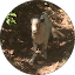 Profile photo of Nathaniel Karll