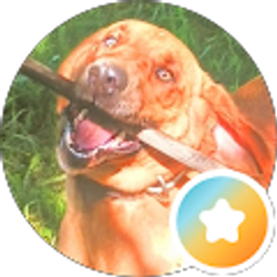 Profile photo of Cody Wilferd