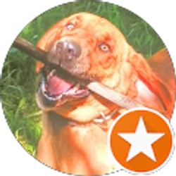 Profile photo of Cody Wilferd