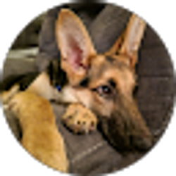 Profile photo of Darlene Y