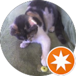 Profile photo of Kristin Caufield