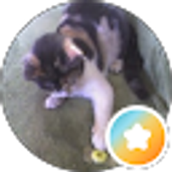 Profile photo of Kristin Caufield