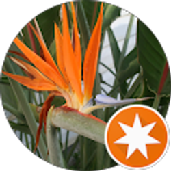 Profile photo of Julia Townsend