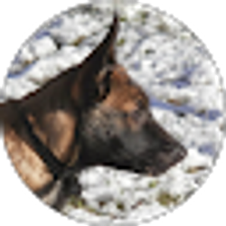Profile photo of Winnower IV
