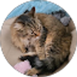 Profile photo of Michelle Allen