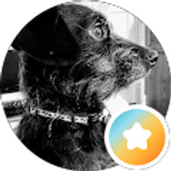 Profile photo of D'Artagnan DeMars