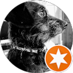 Profile photo of D'Artagnan DeMars