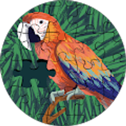 Profile photo of Chidiebere Onyeneho