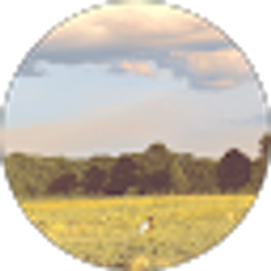 Profile photo of Moochieslade