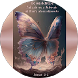 Profile photo of Laure Barboza