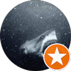 Profile photo of Matthew Hines