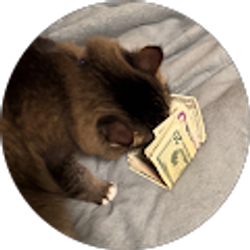 Profile photo of Marco Beltran