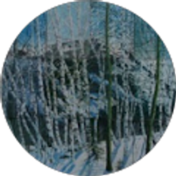 Profile photo of Darren Chase