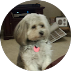 Profile photo of Roland Martin