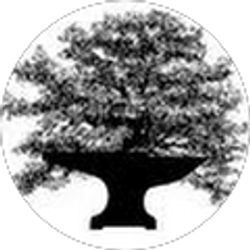 Profile photo of Steve Ervin