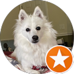 Profile photo of Jonathan A Bourdeau