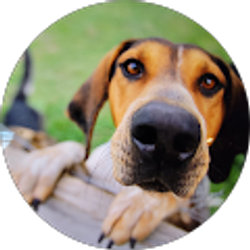 Profile photo of Kevin Holbrook